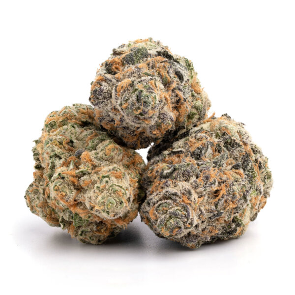 Georgia Pie cannabis clone dense structure